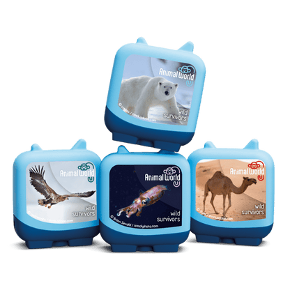 Wild Survivors | bundle